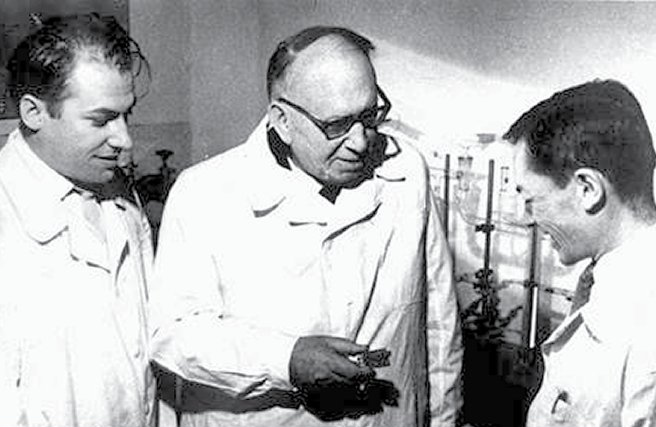 ICEFIZ Was Reorganized into Specialized Entities