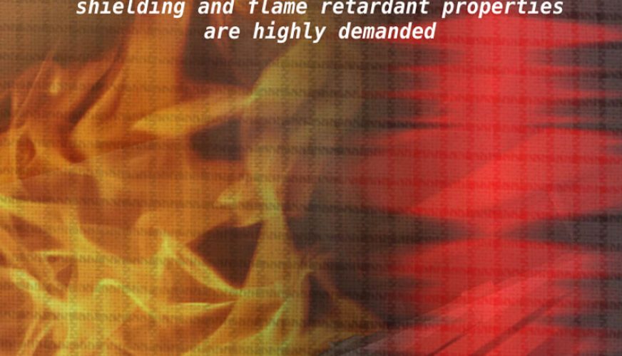 Un proiect de colaborare coordonat de INFLPR este promovat într-un testimonial al revistei Manunet Magazine